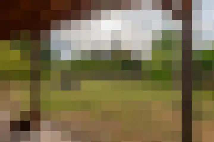 Kortstraatje 2 Wemeldinge thumbnail 8