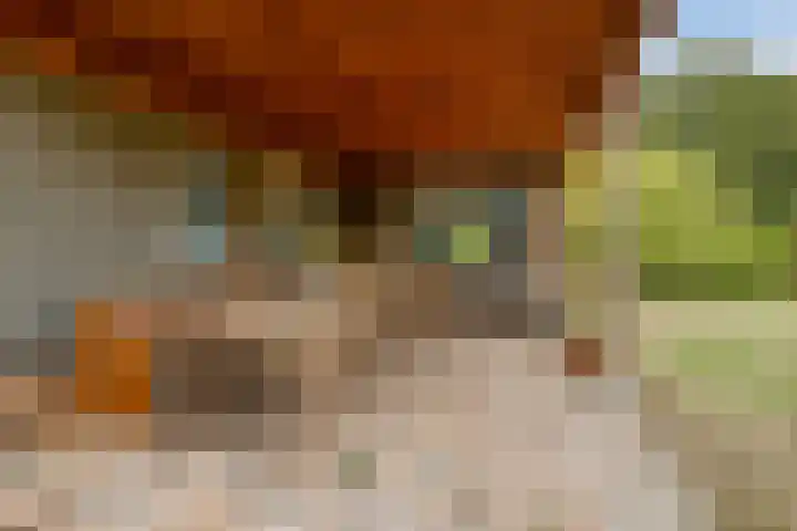 Kortstraatje 2 Wemeldinge thumbnail 9