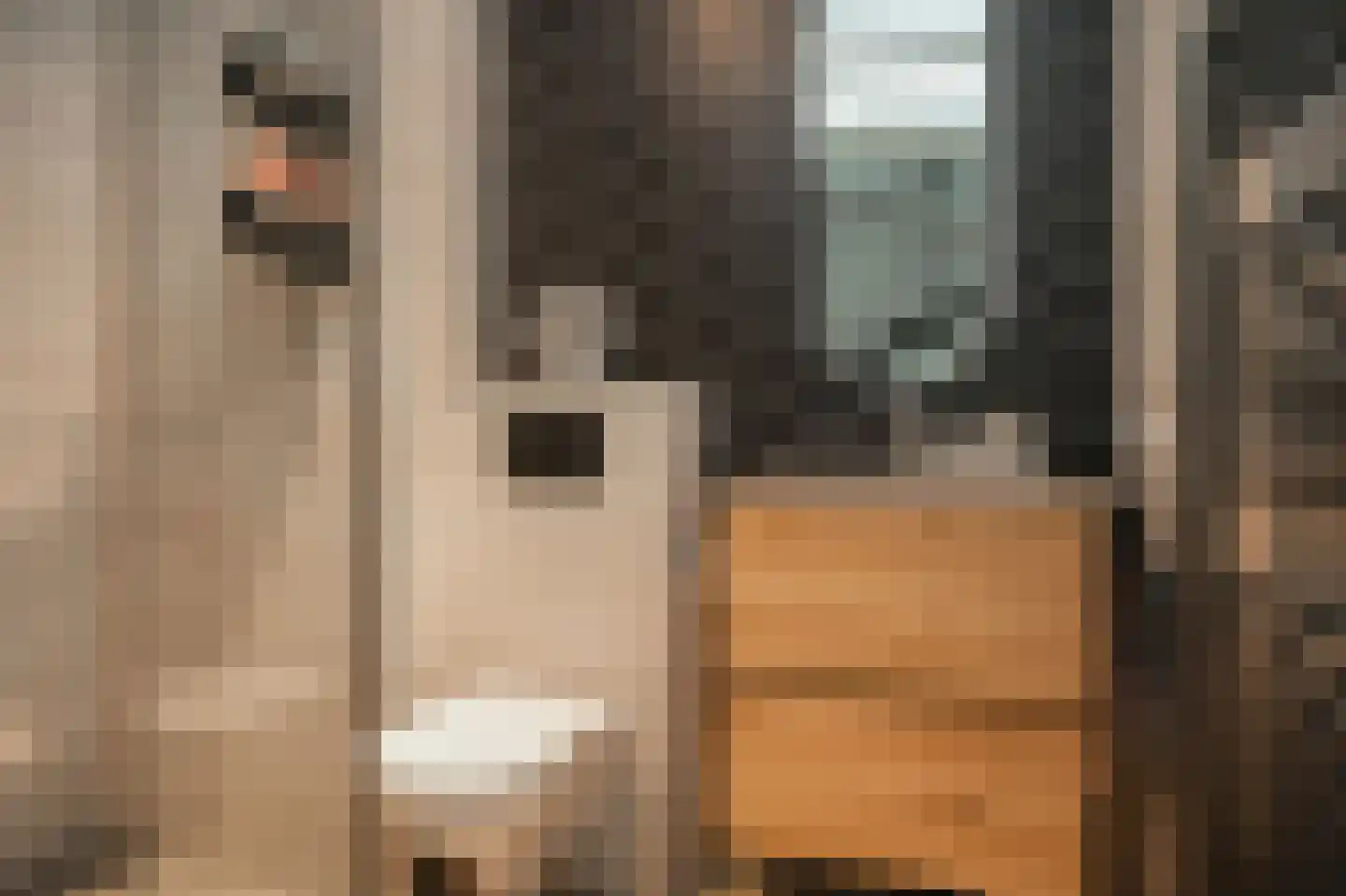 Kortstuk 14 Wamel thumbnail 17