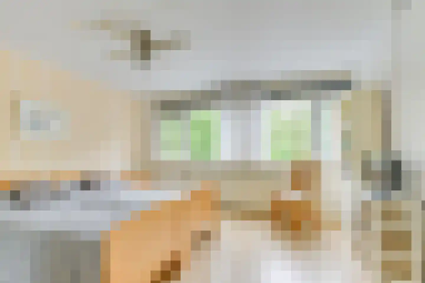 Korund 26 Heerhugowaard thumbnail 34