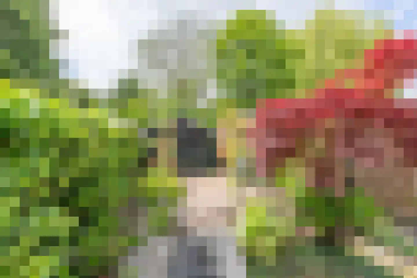 Korund 26 Heerhugowaard thumbnail 45