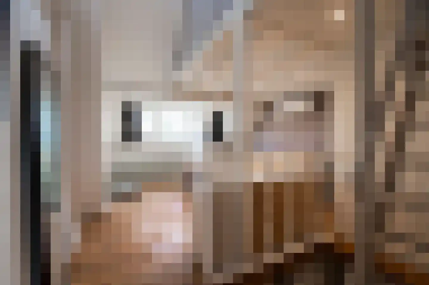 Korveldwarsstraat 8 Tilburg thumbnail 16