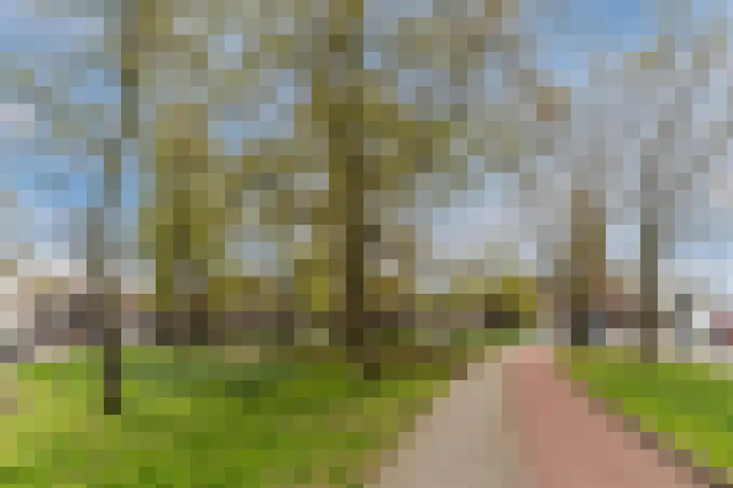 Korvelplein 2 Tilburg thumbnail 43