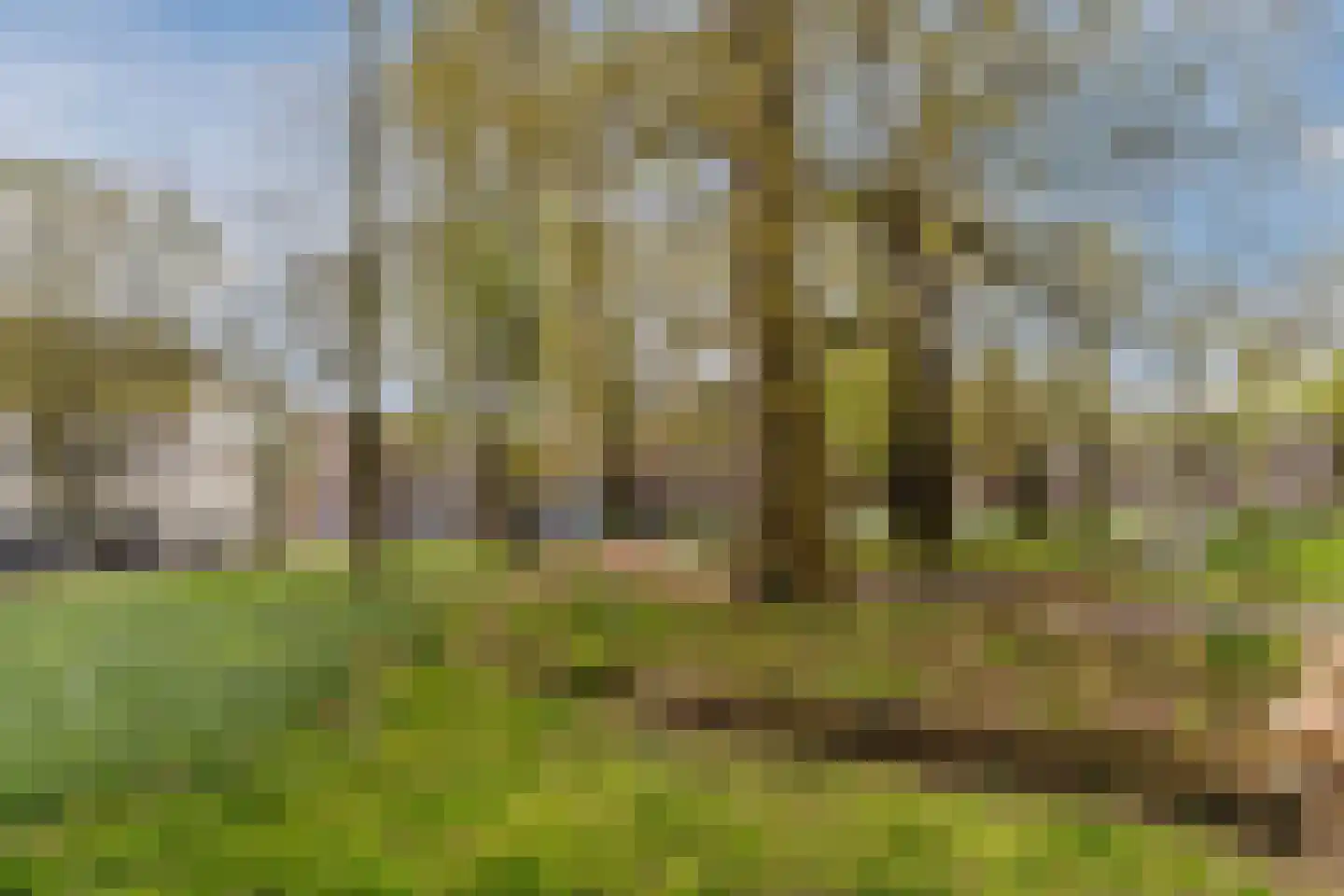 Korvelplein 2 Tilburg thumbnail 45
