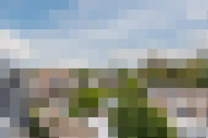 Korvelseweg 184 11 Tilburg thumbnail 6