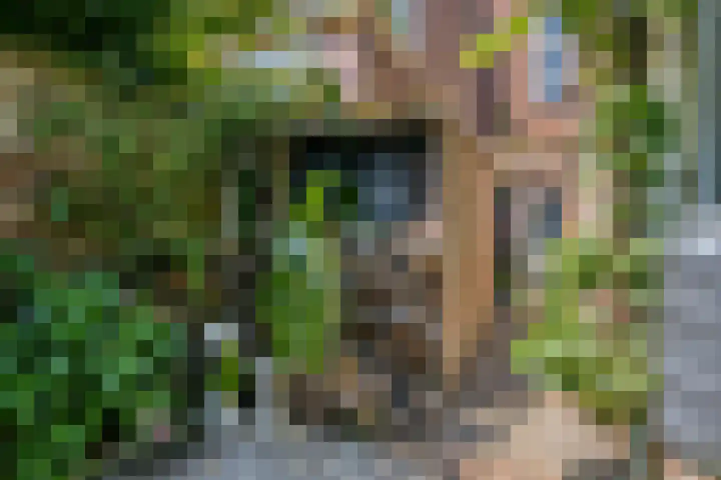 Korvelseweg 34 Tilburg thumbnail 35