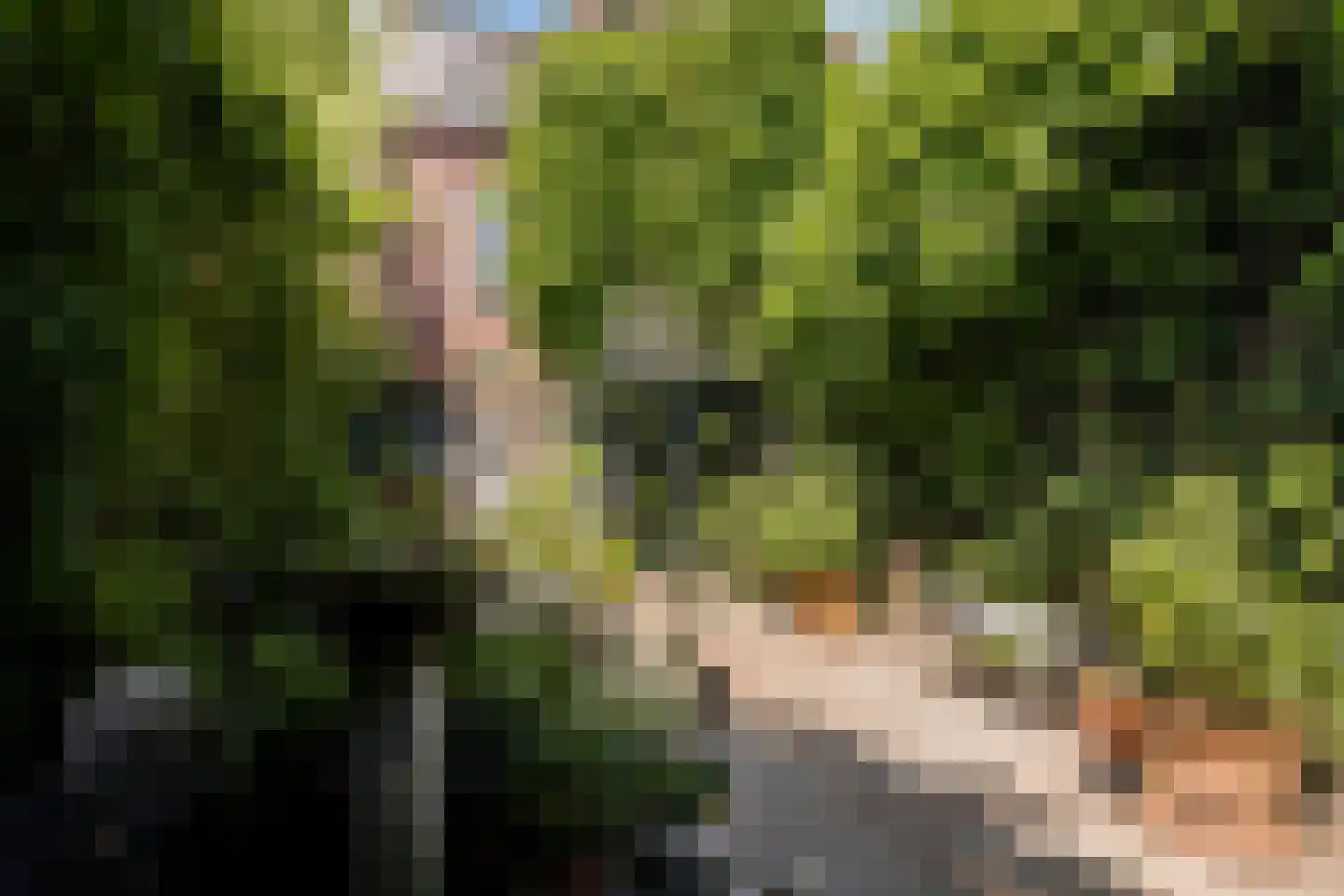 Korvelseweg 34 Tilburg thumbnail 38