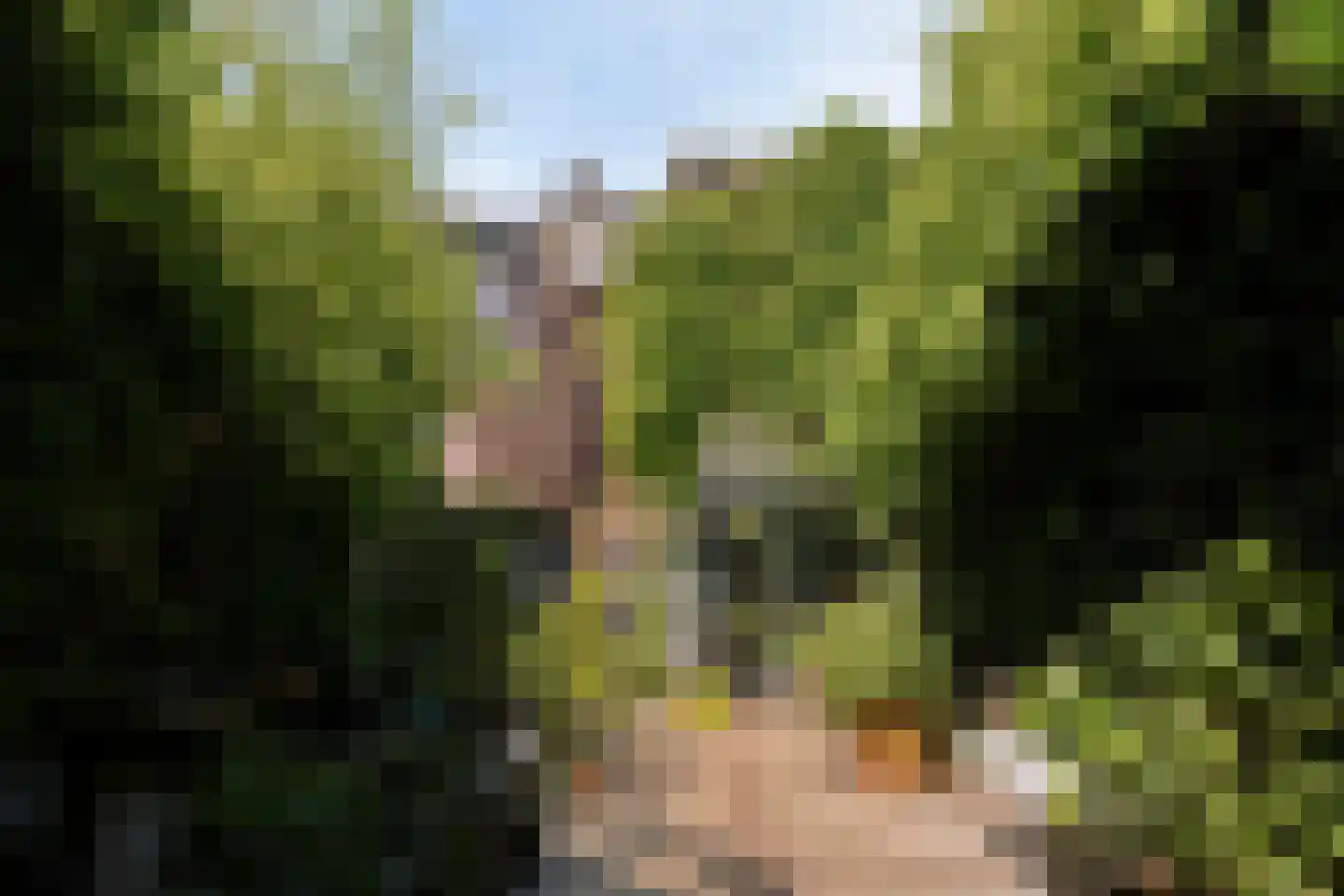 Korvelseweg 34 Tilburg thumbnail 39