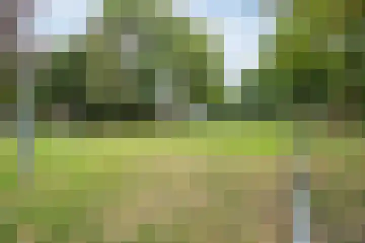 Korvelseweg 61 07 Tilburg thumbnail 17