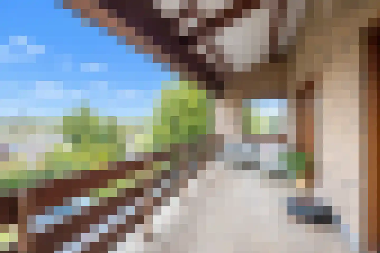 Korversberg 21 Eygelshoven thumbnail 33