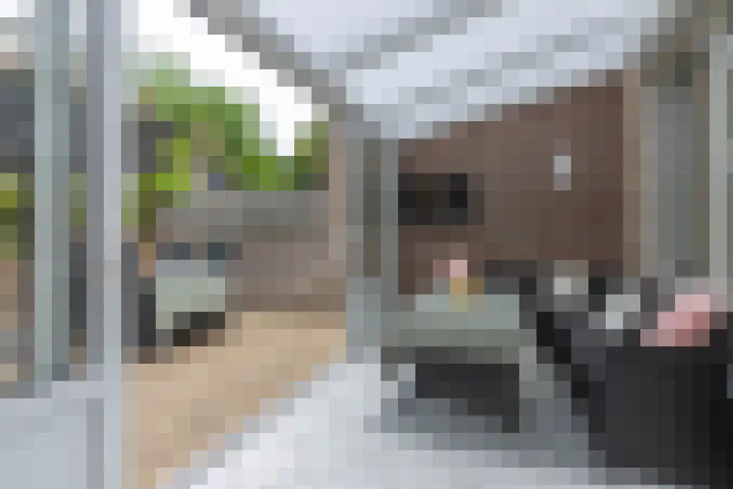 Korversberg 64 Eygelshoven thumbnail 12