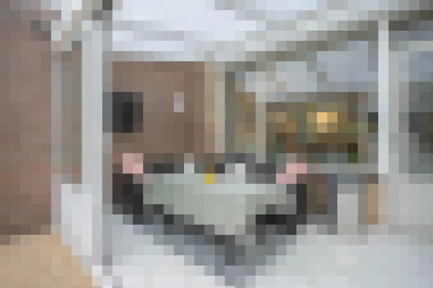 Korversberg 64 Eygelshoven thumbnail 13