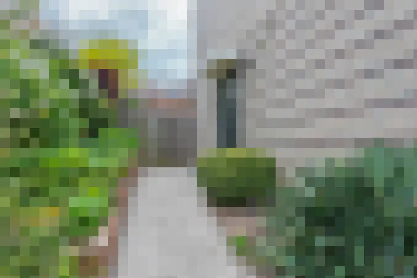 Korversberg 64 Eygelshoven thumbnail 32