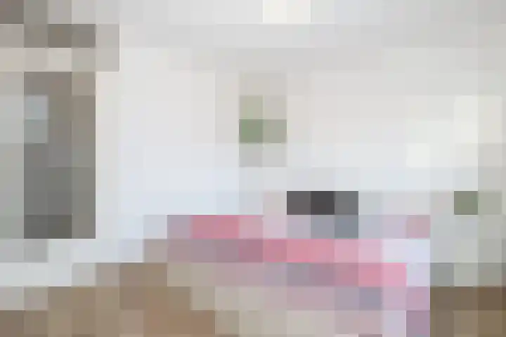 Korvet 19 Brielle thumbnail 18