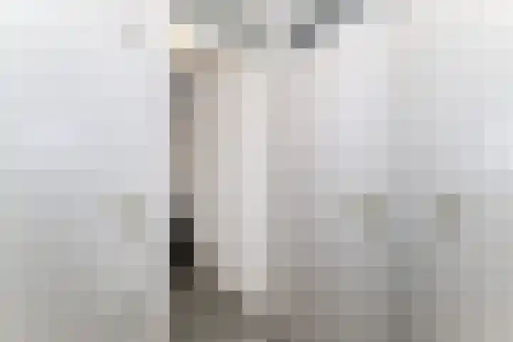 Korvet 19 Brielle thumbnail 20