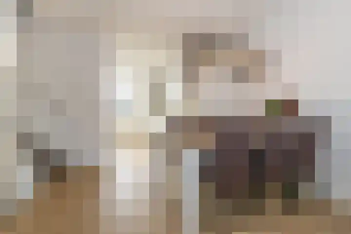 Korvet 19 Brielle thumbnail 26