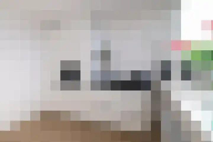 Korvet 19 Brielle thumbnail 33