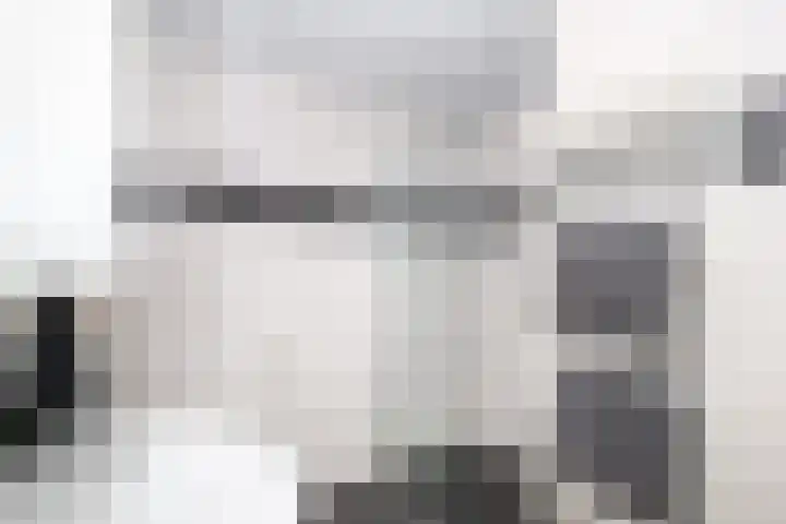 Korvet 19 Brielle thumbnail 37