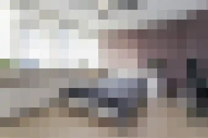 Korvet 19 Brielle thumbnail 38
