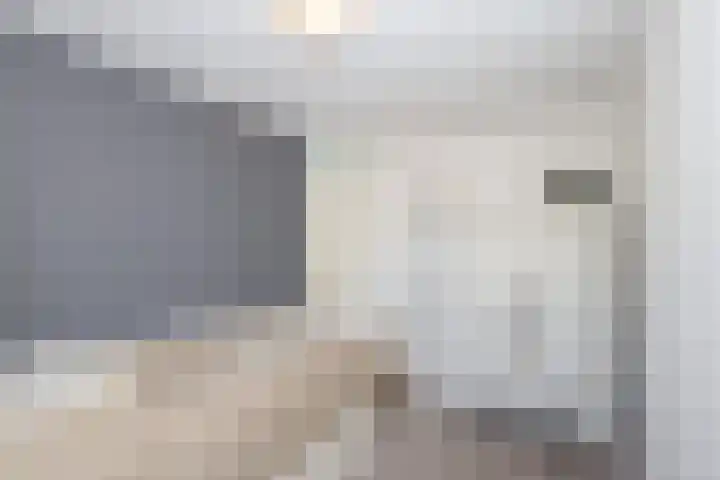 Korvet 19 Brielle thumbnail 43