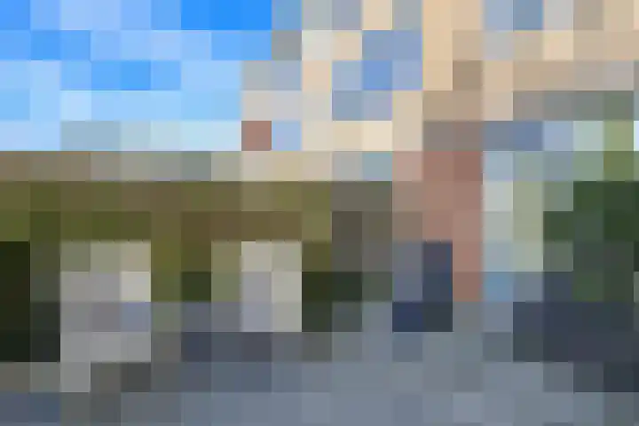 Korvet 19 Brielle thumbnail 49