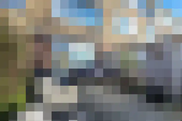 Korvet 19 Brielle thumbnail 50