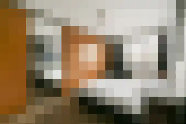 Korvet 35 Amstelveen thumbnail 15