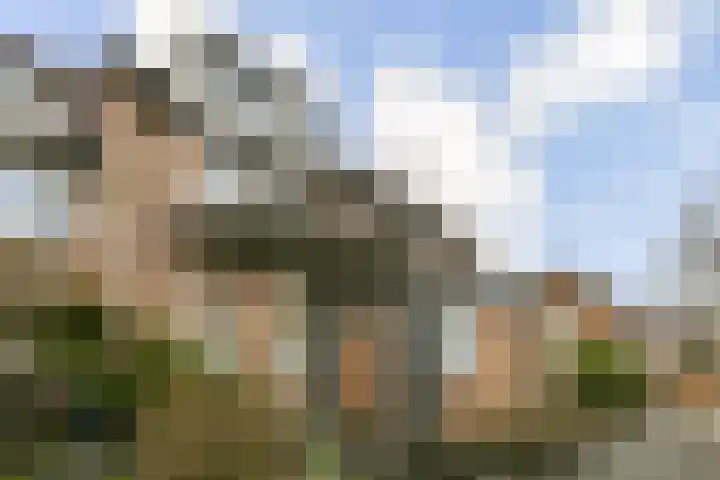 Korvet 35 Amstelveen thumbnail 26