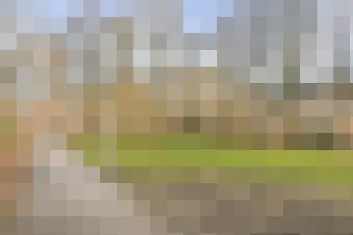 Korvet 35 Amstelveen thumbnail 30