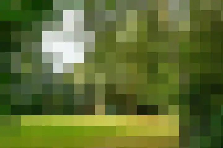 Korvet 35 Amstelveen thumbnail 31