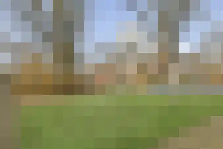 Korvet 35 Amstelveen thumbnail 32