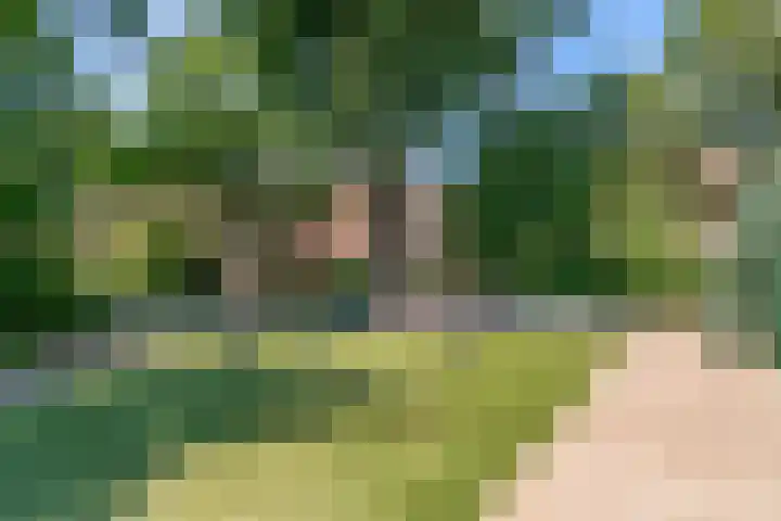 Korvet 35 Amstelveen thumbnail 33