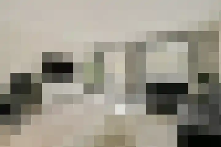 Korvet 35 Amstelveen thumbnail 4