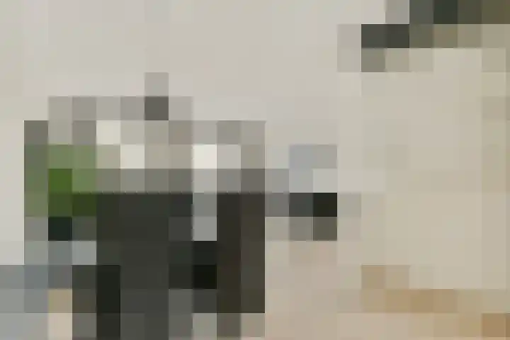 Korvet 35 Amstelveen thumbnail 7