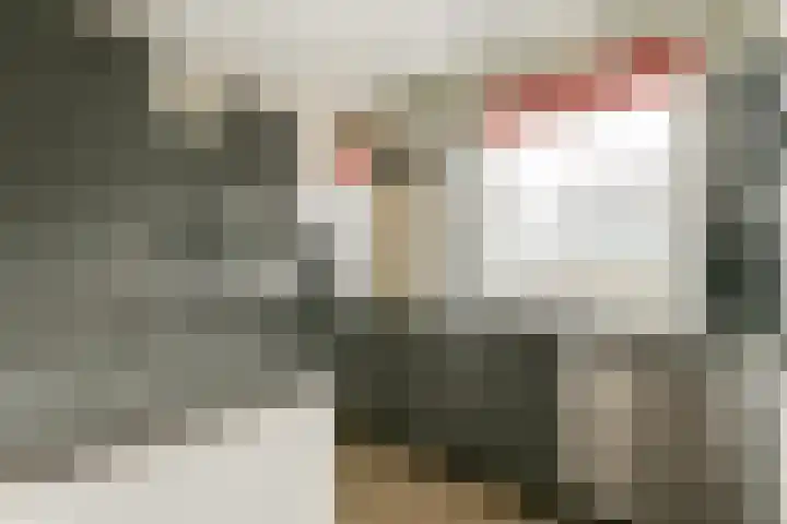 Korvet 35 Amstelveen thumbnail 9