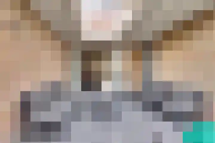 Korvetpad 13 Harlingen thumbnail 31