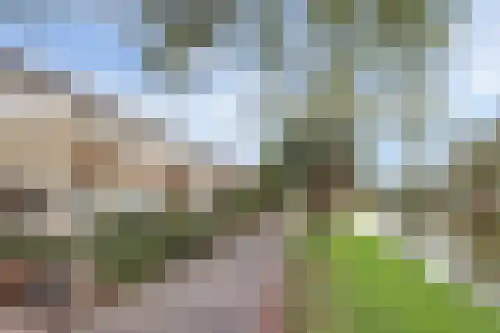 Korvetpad 13 Harlingen thumbnail 34