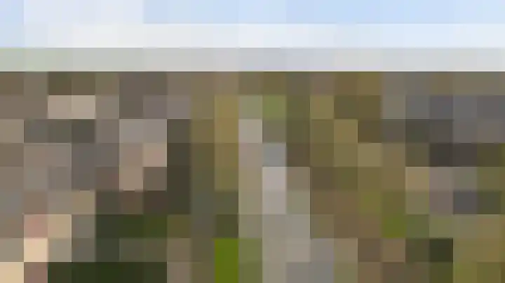 Korvetpad 13 Harlingen thumbnail 39