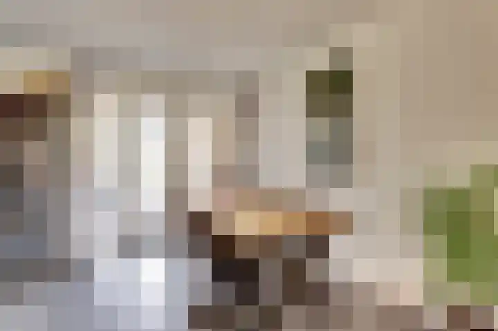 Korvetpad 13 Harlingen thumbnail 8