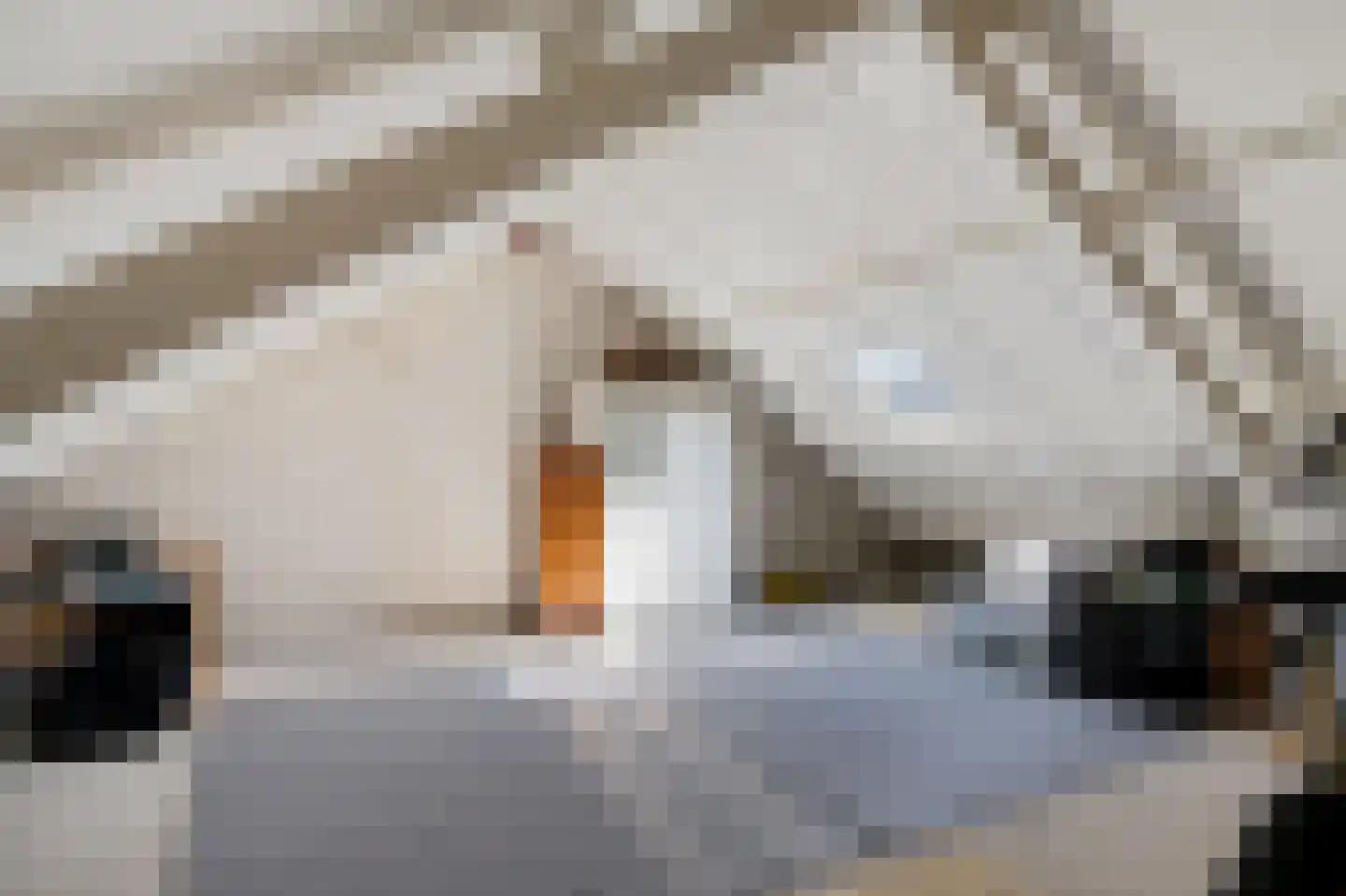 Korvetpad 29 Harlingen thumbnail 29