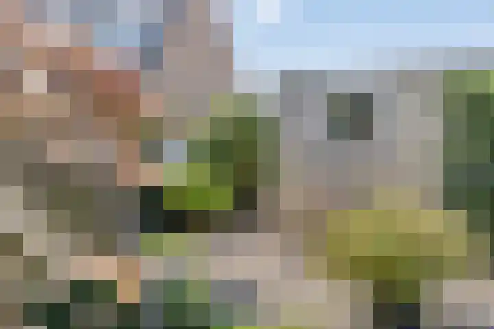 Korvetstraat 37 Den Helder thumbnail 34