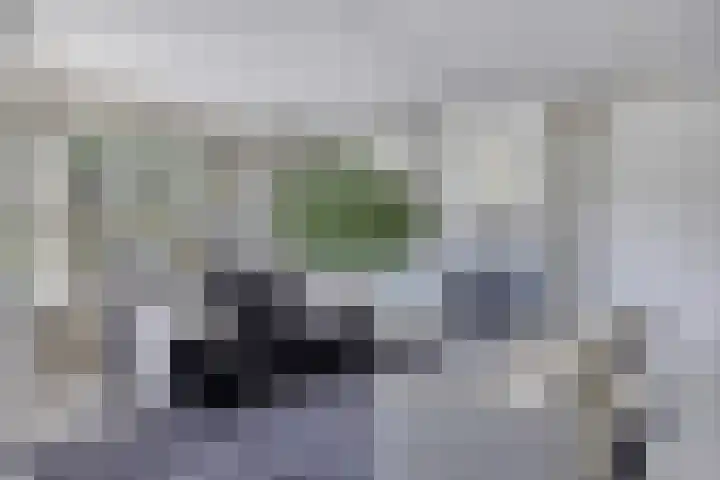 Korvetstraat 37 Den Helder thumbnail 5