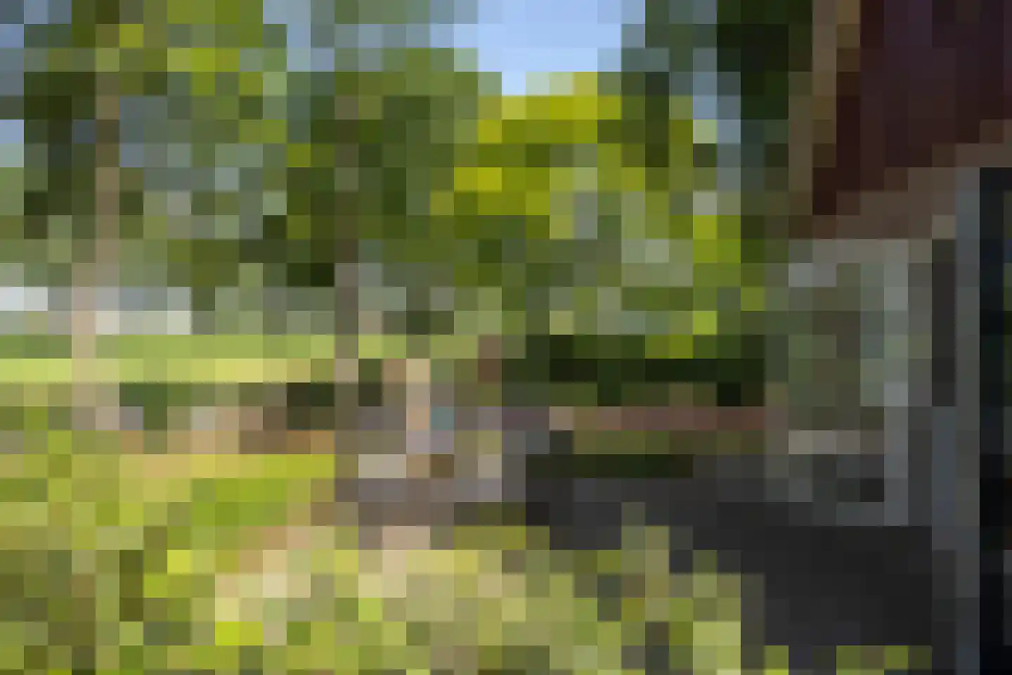 Koskampweg 3 62 Ruurlo thumbnail 11