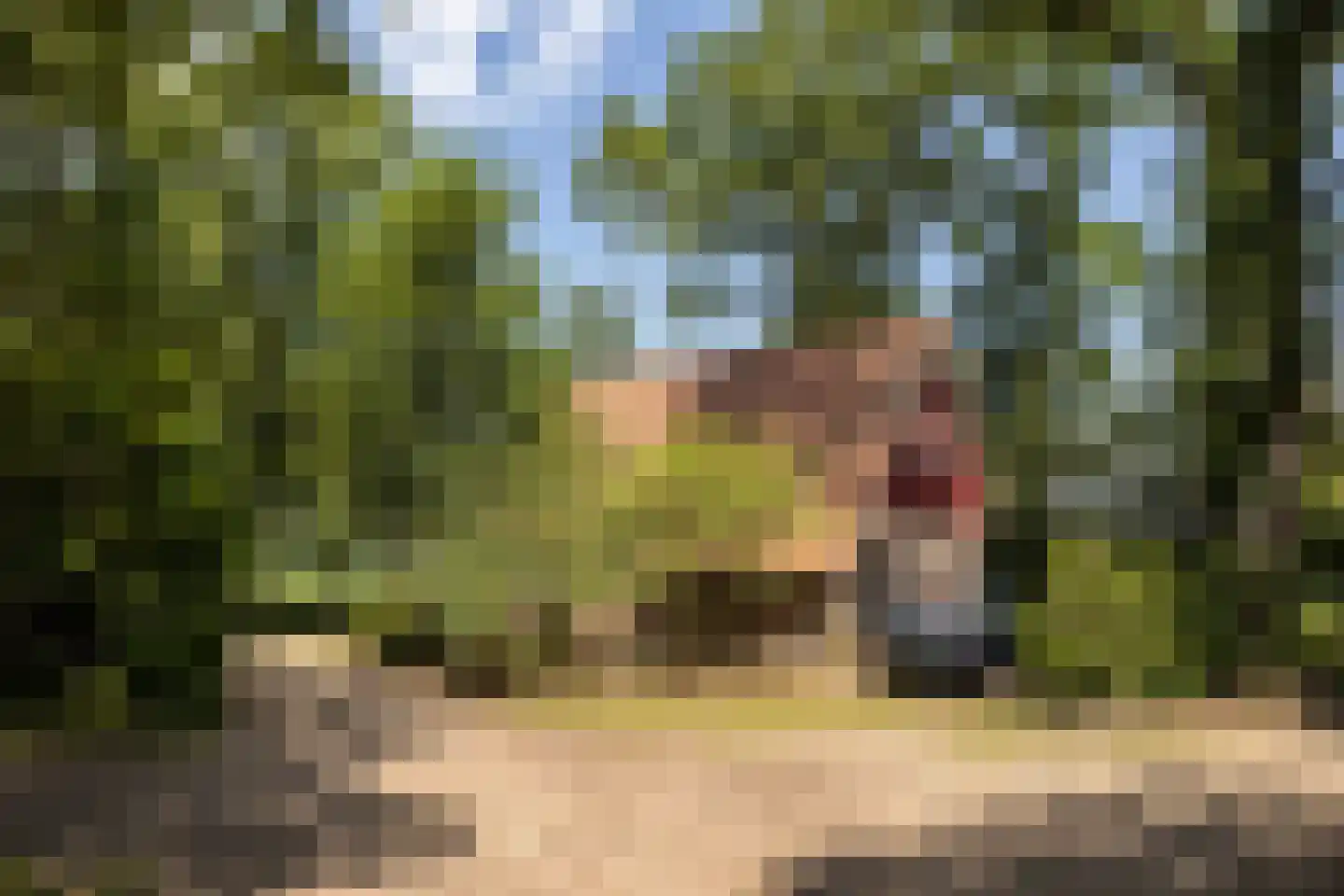 Koskampweg 3 62 Ruurlo thumbnail 27