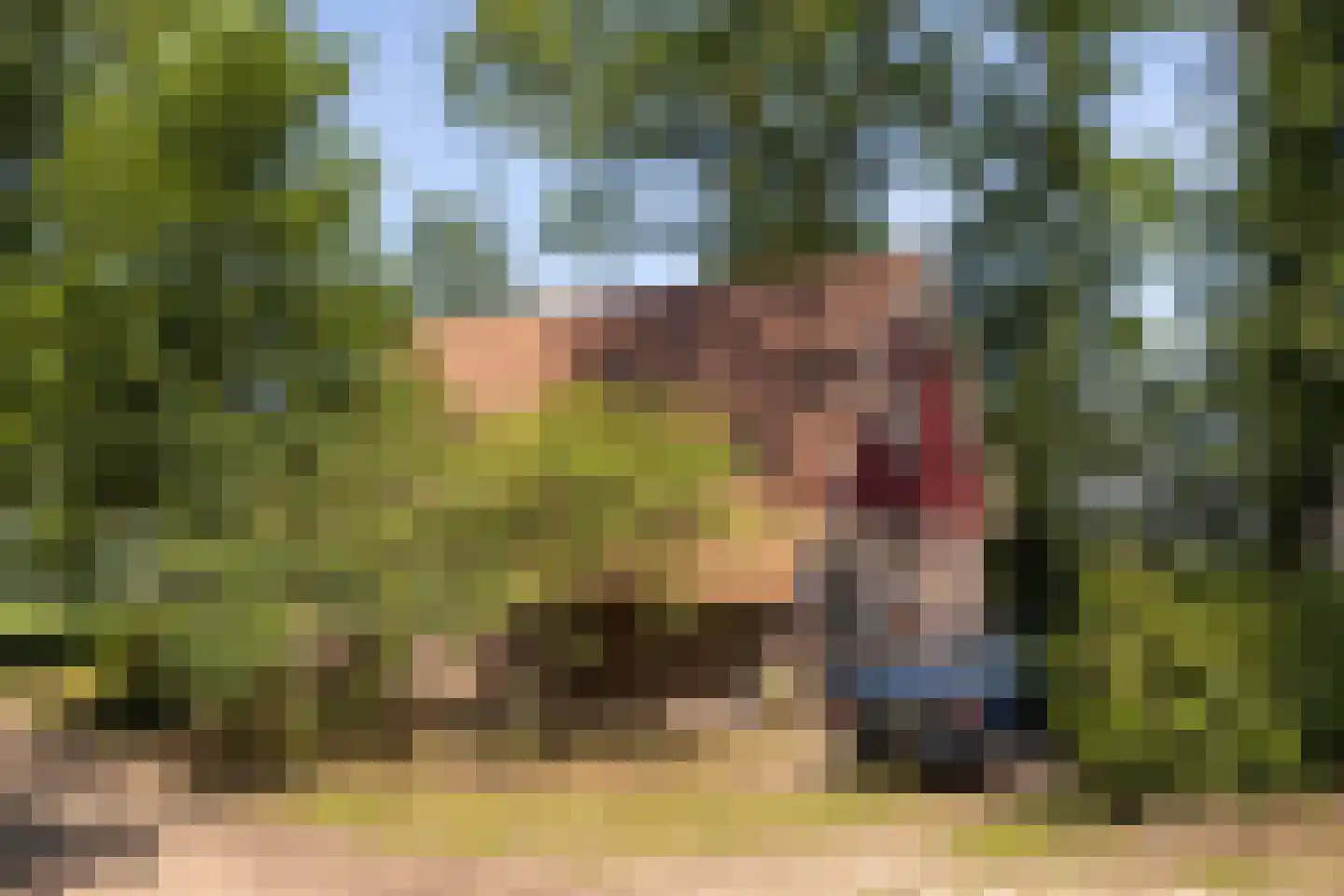 Koskampweg 3 62 Ruurlo thumbnail 28