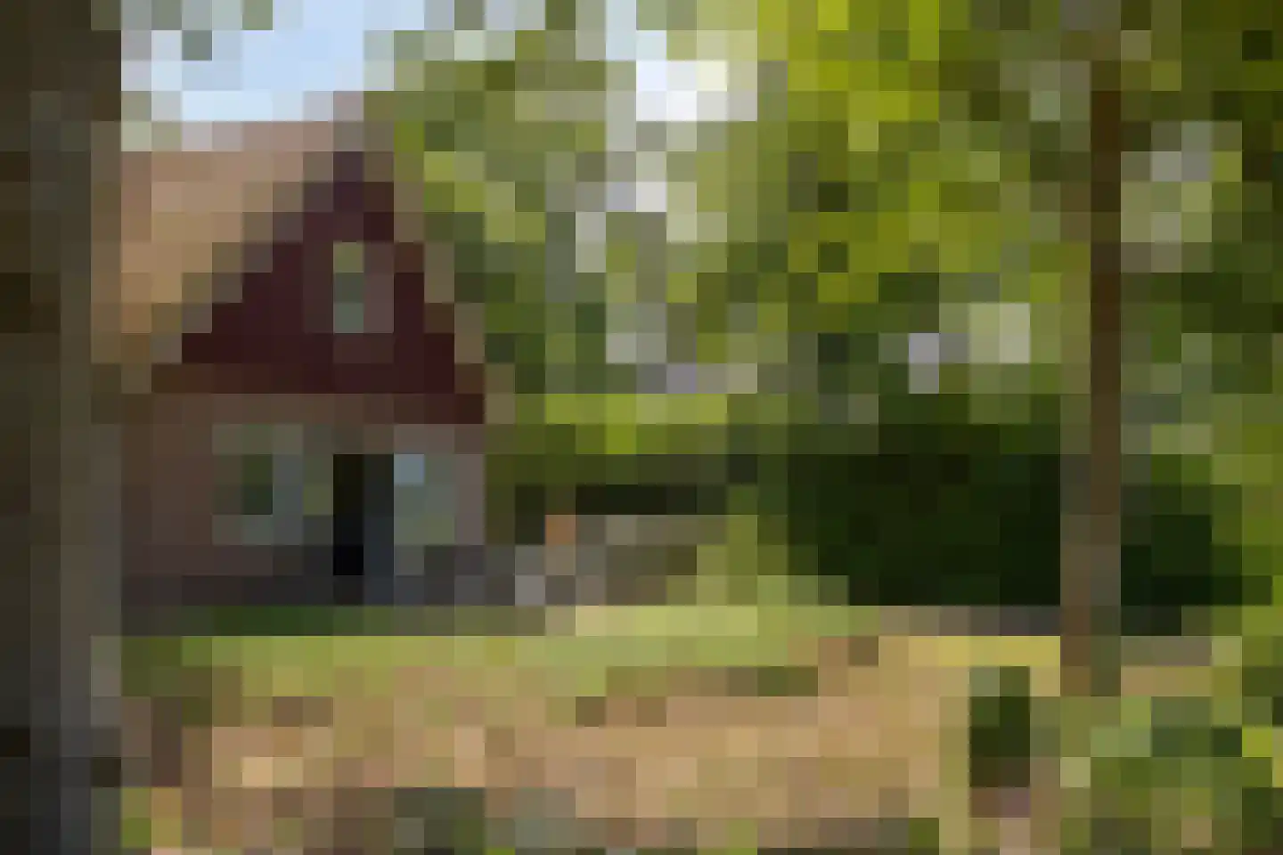 Koskampweg 3 62 Ruurlo thumbnail 30