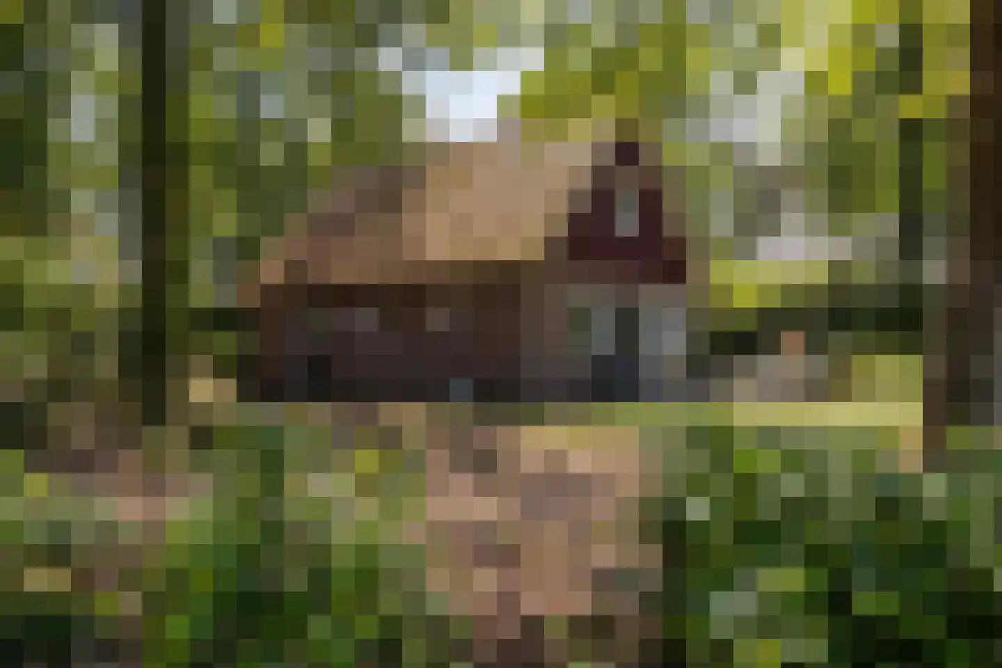 Koskampweg 3 62 Ruurlo thumbnail 31