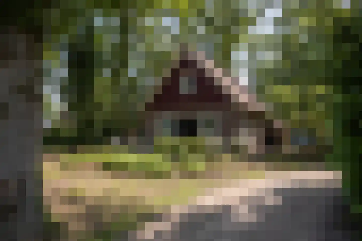 Koskampweg 3 62 Ruurlo thumbnail 32