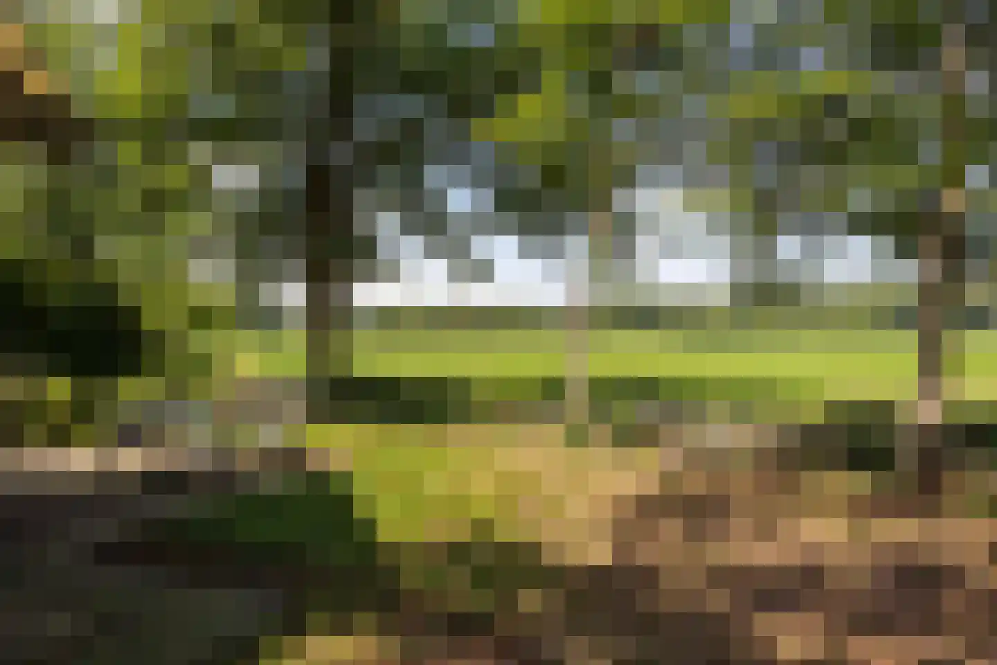 Koskampweg 3 62 Ruurlo thumbnail 33