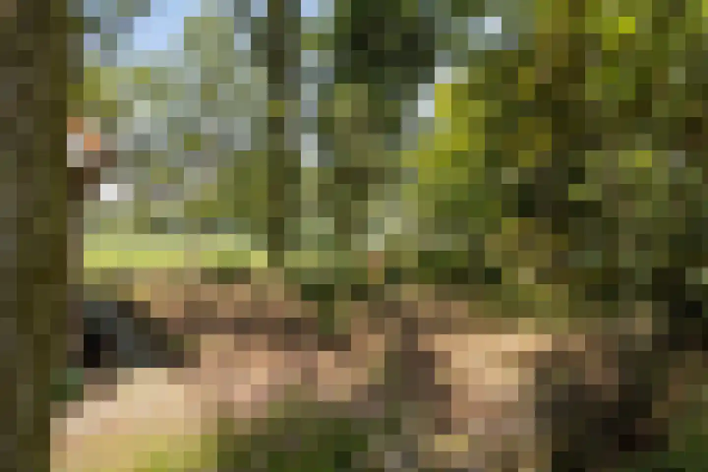 Koskampweg 3 62 Ruurlo thumbnail 34